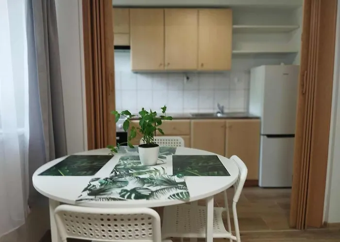 2-room, Garden, Close To The Center * Posen